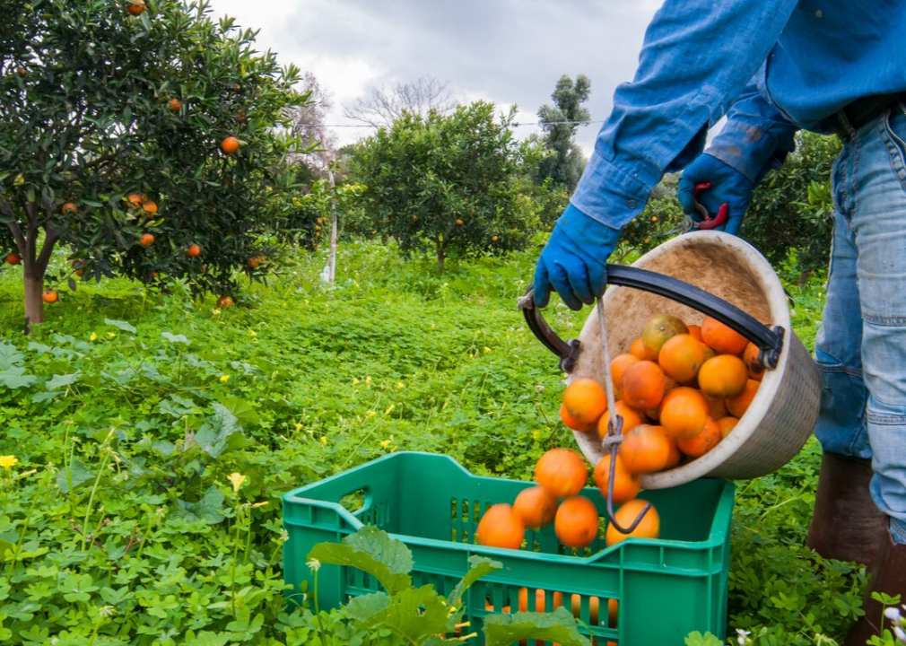 Farming provides millions of American jobs